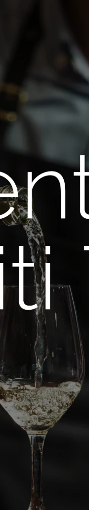 Alentejo Viti Tours Branding & Web 1